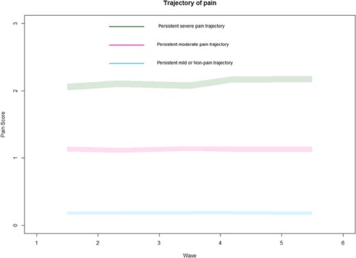 Trajectories of pain in older adults. Each colour represents a type of pain trajectory.