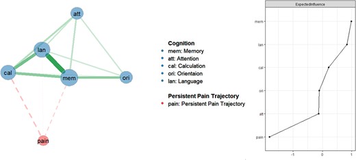 Network analysis of pain and cognition domains in older adults (primary network analysis).