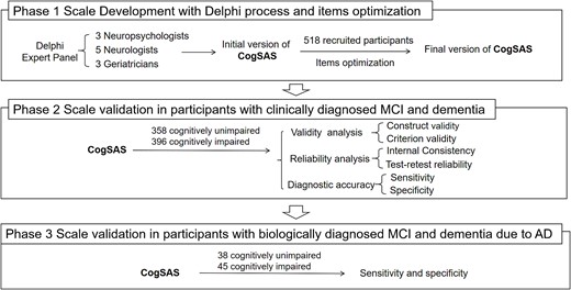 Details of CogSAS development and validation.