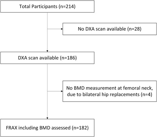 Flow chart showing the number of participants available in the study population of the study.