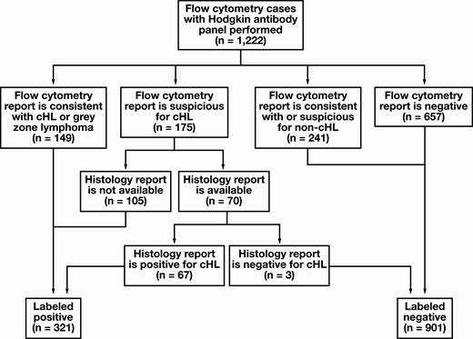 Identification of cases to be labeled as positive or negative. All identified cases from 2010 to 2019 with corresponding flow cytometry reports are used. cHL, classic Hodgkin lymphoma.