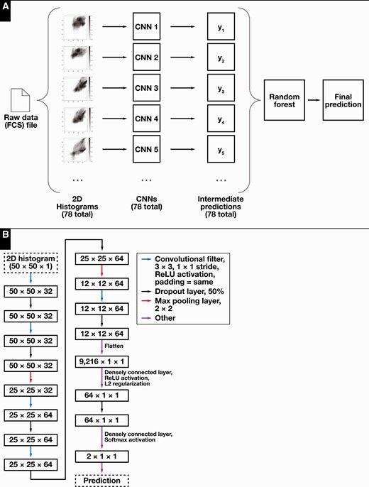 Classification model architecture. A, Overview of the convolutional neural network (CNN) ensemble classifier. A flow cytometry data file is used to construct two-dimensional histograms, which are then passed as inputs to an ensemble of corresponding CNNs. The outputs are passed to an integrating random forest classifier, which produces a final prediction score. B, Architecture used for individual CNNs. Colored arrows indicate operations performed in the various layers.