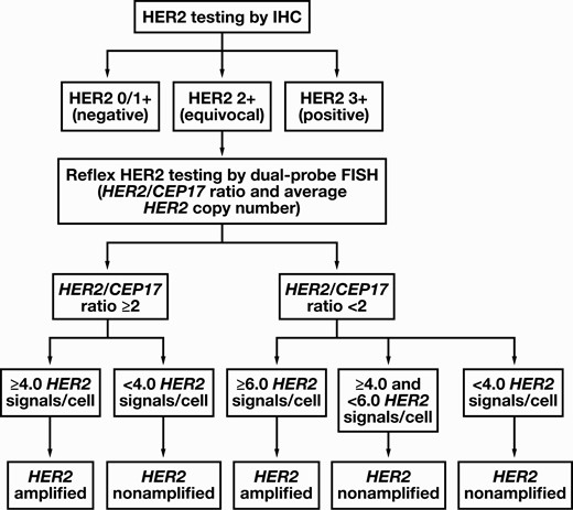 Algorithm for human epidermal growth factor receptor 2 (HER2) testing in high-grade urothelial carcinoma. First, immunohistochemistry (IHC) testing for HER2 should be performed. A fluorescence in situ hybridization (FISH) test is not required if the HER2 IHC test results are either negative (0 or 1+ score) or positive (3+ score), while a reflex FISH testing is recommended for HER2 IHC-equivocal (2+ score) tumors. The tumors with a 3+ score are considered HER2 amplified, and a FISH test is not mandatory. The FISH results are further divided based on HER2/CEP17 ratio into two broad categories as HER2/CEP17 ratio of 2 or more and HER2/CEP17 ratio of less than 2. Subsequently, depending on the average HER2 copy number, the tumors were further subtyped into five categories as follows: group 1, HER2/CEP17 ratio of 2.0 or more and 4.0 or more HER2 signals/cell; group 2, HER2/CEP17 ratio of 2.0 or more and less than 4.0 HER2 signals/cell; group 3, HER2/CEP17 ratio of less than 2.0 and 6.0 or more HER2 signals/cell; group 4, HER2/CEP17 ratio of less than 2.0 and 4.0 or more but less than 6.0 HER2 signals/cell; and group 5, HER2/CEP17 ratio of less than 2.0 and less than 4.0 HER2 signals/cell. A tumor with a 2+ score on HER2 IHC and either a group 1 or group 3 FISH pattern is considered HER2 amplified, whereas a tumor with a 2+ score on HER2 IHC and a group 2, 4, or 5 FISH pattern is considered HER2 nonamplified.