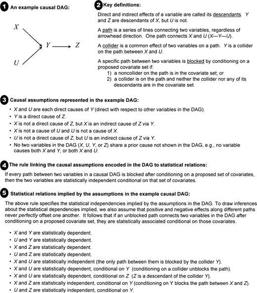 Introduction to directed acyclic graphs (DAGs), which visually represent assumptions about the causal relations among variables. Simple rules specify the statistical relations implied by these causal assumptions, assuming a large enough sample so that random variations can be ignored. Refer to appendix 2 and to Greenland et al. (40) (Epidemiology 1999;10:37–48) for a detailed discussion.
