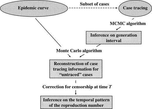 Statistical framework used to estimate the reproduction number with data (epidemic curve and subset of traced cases) available up to time T. To handle uncertainty about the generation interval, a Markov chain Monte Carlo (MCMC) algorithm is set up to investigate the posterior distribution of the generation interval given case tracing data. The output of the MCMC is then used in a Monte Carlo algorithm to make an inference about complete case tracing up to time T. Eventually, a correction is applied for the censorship of late secondary cases during the course of the epidemic.