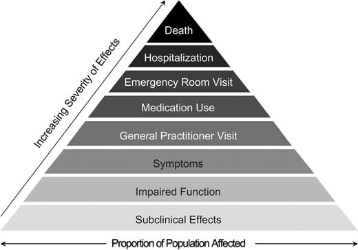 Pyramidal representation of the hypothesized short-term effects of air pollution on health.