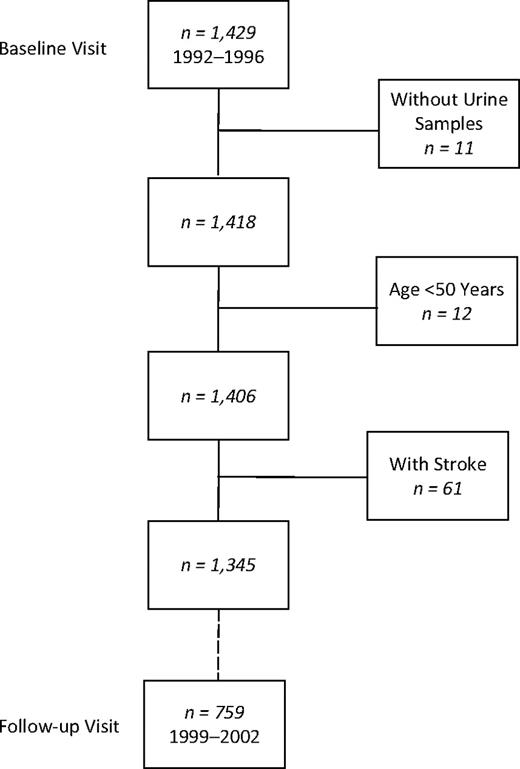 Selection of participants for a study of albuminuria and cognitive function in older adults, Rancho Bernardo, California. In 1992–1996, 1,429 participants attended a research clinic visit and completed 3 cognitive function tests. After exclusion of 11 individuals without urine samples, 12 who were younger than age 50 years, and 61 with a history of stroke, 821 women and 524 men remained who had urine samples for albuminuria testing and tests of cognitive function in 1992–1996. Of these participants, 461 women and 298 men returned for a follow-up visit and had repeat cognitive function testing in 1999–2002.