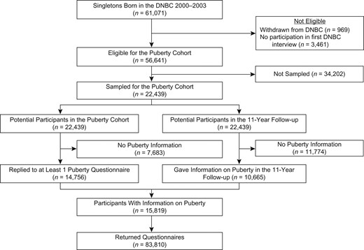 Flow diagram of participants in the Puberty Cohort, Danish National Birth Cohort (DNBC), Denmark, 2000–2017.