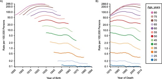 Cohort (A) and period (B) trends for lung and bronchial cancer mortality in US females, SEER Program, 1975–2014. C-P score = 0.56; deviance explained: 97.0%. SEER, Surveillance, Epidemiology, and End Results.