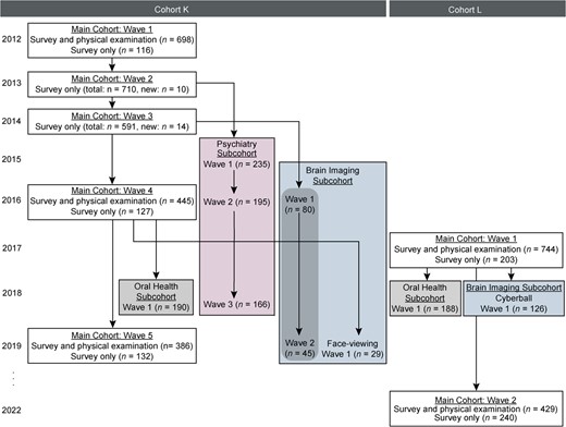 Flowchart of study activities over 10 years, Korean Social Life, Health, and Aging Project. The survey year indicates when the survey was completed.