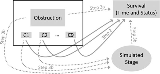 Illustration of how oracle datasets were created for Example 1, by combining real-word with simulated data. Rectangles represent data taken directly from the real-word dataset. In particular, individual data for obstruction and covariates (C1, …, C9), shown in the black rectangle on top left, were extracted without any modifications, implying that all relationships between these variables were preserved. Survival outcomes, consisting of outcome times and status (event or censoring), were extracted from the real-word dataset, but in different simulated oracle samples, each outcome was assigned to different subjects using the permutational algorithm. The oval represents the simulated data on cancer stage. Arrows identify relationships considered when either simulating cancer stage or assigning outcomes to individual study participants. For dotted arrows, the strength of the associations (hazard ratio or odds ratio) used for data generation was based on the corresponding assumptions from step 3. For solid arrows, the strength of associations used to simulate datasets was based on the adjusted HR for each covariate estimated in step 2 using the real-world data.