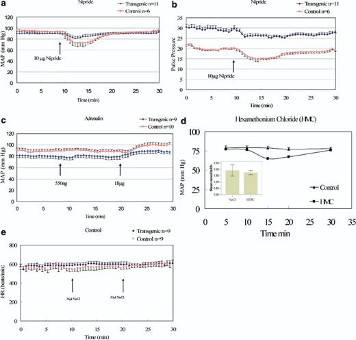 amlodipine attenuates oxidative stress induced hypertension1 figure 4