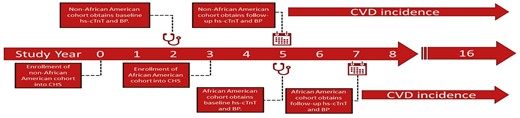 Study design and timeline. Hs-cTnT, high-sensitivity cardiac troponin T; BP, blood pressure.