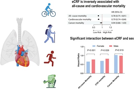 Graphical Abstract