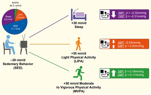 Graphical Abstract