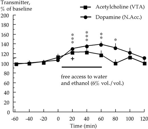 Effects of voluntary ethanol intake on extracellular acetylcholine levels in the ventral tegmental area (VTA) concomitantly with extracellular dopamine levels in the nucleus accumbens (N.Acc.) in high ethanol preferring rats. Acetylcholine and dopamine were monitored by means of in vivo microdialysis (n = 5). ***P < 0.001, **P < 0.01, *P < 0.05 dopamine levels compared to baseline (paired t-test). + P < 0.05, acetylcholine levels at 20 min compared to baseline (paired t-test).