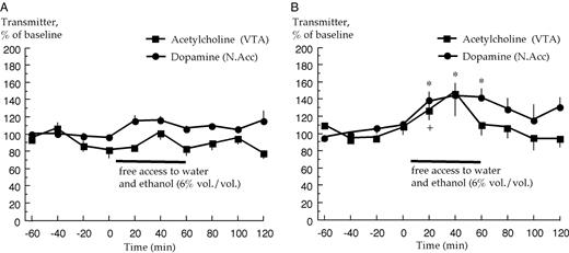 Effects of voluntary ethanol intake on extracellular acetylcholine levels in the ventral tegmental area (VTA) and dopamine levels in the nucleus accumbens (N.Acc.) in (A) low ethanol preferring and in (B) low ethanol preferring rats switching to high ethanol preference. Acetylcholine and dopamine were monitored by means of in vivo microdialysis (n = 4, each group). *P < 0.05, dopamine levels at 20, 40 and 60 min compared to baseline (paired t-test). + P < 0.05, acetylcholine levels at 20 min compared to baseline (paired t-test).