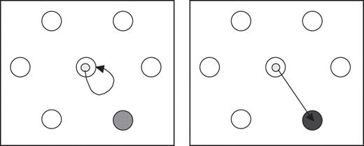 The Go/No-Go task with the left-hand panel illustrating a No-Go trial and the right-hand panel a Go trial