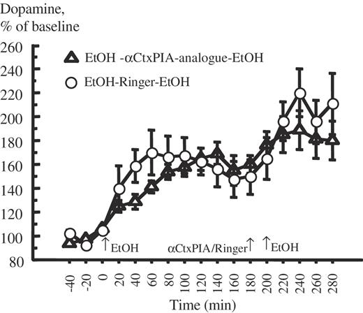 Local administration of the synthesized α-conotoxin PIA-analogue into the VTA does not antagonizes the ethanol-induced accumbal dopamine-overflow. Effect of the synthesized α-conotoxin PIA-analogue (5 nmol), unilaterally and locally administered into the VTA, on ethanol-induced (EtOH, 1.75 g/kg, i.p.) dopamine-overflow in nucleus accumbens in mice measured by in vivo microdialysis. Ethanol was administered the first time at 0 min; Ringer or α-conotoxin PIA was administered at 180 min. After 20 min from the beginning of drug administration ethanol was administered the second time (EtOH, 1.75 g/kg, i.p.). Shown are mean values ± SEM of 7–10 observations in each group. Ringer = Ringer solution.
