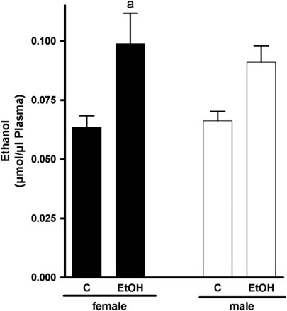 Effect of acute alcohol treatment on plasma alcohol concentration. Concentration of alcohol in plasma of female and male control mice and mice treated with alcohol 12 h after treatment. Data are shown as means ± SEM (female: n = 8–9, male: n = 5–6). aP < 0.05 vs. C female. C, control mice, EtOH, ethanol-treated mice (6 g EtOH/kg body weight).