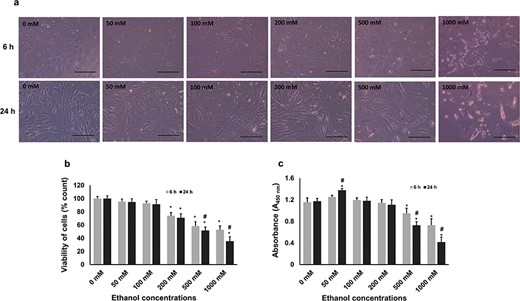 Effects of different concentrations of ethanol exposure on cellular morphology, viability and proliferation. bGCs were grown in cell culture plates under standard culture conditions until 50–60% confluence. Cells were treated with different concentrations of ethanol for 6 and 24 h. (a) Representative micrographs of GCs in different ethanol concentrations at two time points (n = 3), scale bar 200 μm. (b) The viability of GCs under different treatment conditions was determined using the trypan blue exclusion test. Cells were subjected to a staining procedure and were counted using a hemocytometer under a microscope. The bar diagrams representing the number of viable cells in percentage. (c) Cytotoxic effects of ethanol exposure were determined WST-1 kit in an ELISA reader. Data are represented as mean ± SD of three different independent experiments. Different asterisks representing the significant differences (P ≤ 0.05) where * = significantly different in different treatments compared with the control group and # = significantly different in two time points.