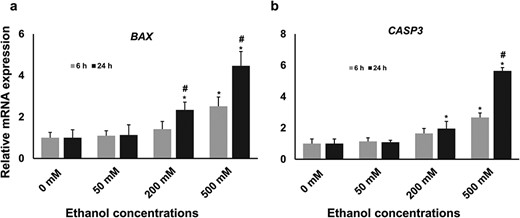 The expression level of BAX and CASP3 mRNA in different treatment groups. The relative abundance of BAX (a) and CASPS3 (b) mRNA was measured in a real-time qPCR platform where GAPDH was used as the housekeeping gene. The result showed that the expression of both genes was significantly increased in 200 and 500 mM concentrations compared with the untreated control group. Statistically significant effects (P ≤ 0.05) of different treatments on gene expression are marked with asterisks, where * = significantly different in different ethanol treatments compared with the control group and # = significantly different in two time points.
