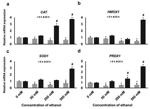 Relative expression of selected antioxidant genes downstream to NRF2 activation. GCs were treated with different concentrations of ethanol according to the experimental design and the expression of (a) CAT, (b) HO-1, (c) SOD1 and (d) PRDX1 genes at mRNA level was measured by real-time qPCR. Data are presented as means ± SD of three different independent experiments. Different asterisks represent statistically significant differences (P ≤ 0.05), where * = significantly different compared with the control group and # = significantly different in two time points.