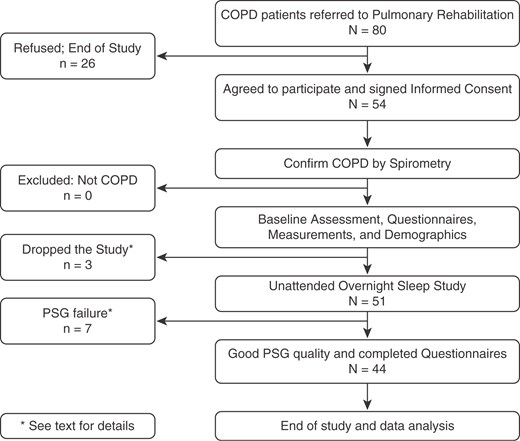 Study workflow for patients referred to pulmonary rehabilitation enrolled in the study. COPD = chronic obstructive pulmonary disease.