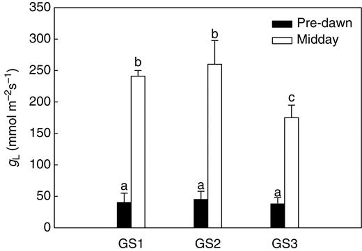 Leaf conductance to water vapour (gL) as measured at pre-dawn and midday on plants of Capsicum frutescens at three selected growth stages (GS1, GS2, GS3, see text). Means are given ± s.d. (n = 10). Different lower-case letters indicate significant differences for Tukey's pairwise comparisons (P < 0·001).