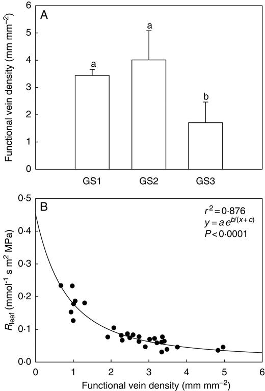 (A) Functional vein density measured on leaves of Capsicum frutescens plants at three selected growth stages (GS1, GS2, GS3, see text). Means are given ± s.d. (n = 10). Different lower-case letters indicate significant differences for Tukey's pairwise comparisons (P < 0·001). (B) Functional vein density as a function of leaf hydraulic resistance (Rleaf) as measured in Capsicum frutescens plants at three selected growth stages (GS1, GS2, GS3, see text). The equation of the curve, the coefficient of determination (r2) and the P-value are reported.