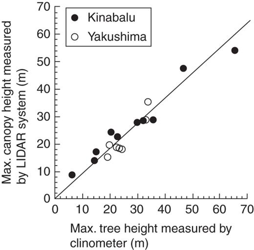 The relationship between maximum tree height measured by a clinometer and maximum canopy height measured by the LIDAR system among the study plots. The line represents standardized major axis regression forced through the origin (the intercept was not significant at P < 0·05): Y = 0·90X (R2 = 0·93, P < 0·001, 95 % confidence intervals of slope: 0·84–0·96).