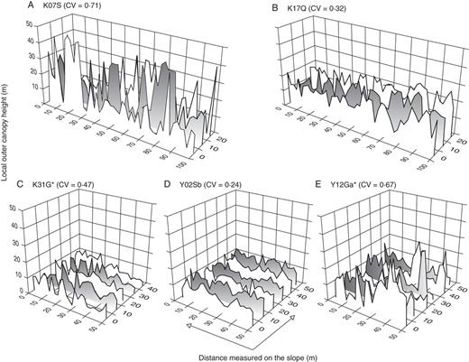 Examples of the horizontal distribution of local outer canopy height in the study plots on: (A–C) Mount Kinabalu and (D–E) Yakushima Island. The coefficient of variation (CV) is shown for each plot. Plots with asterisks are mixed forests with conifer relative basal area >25 %.
