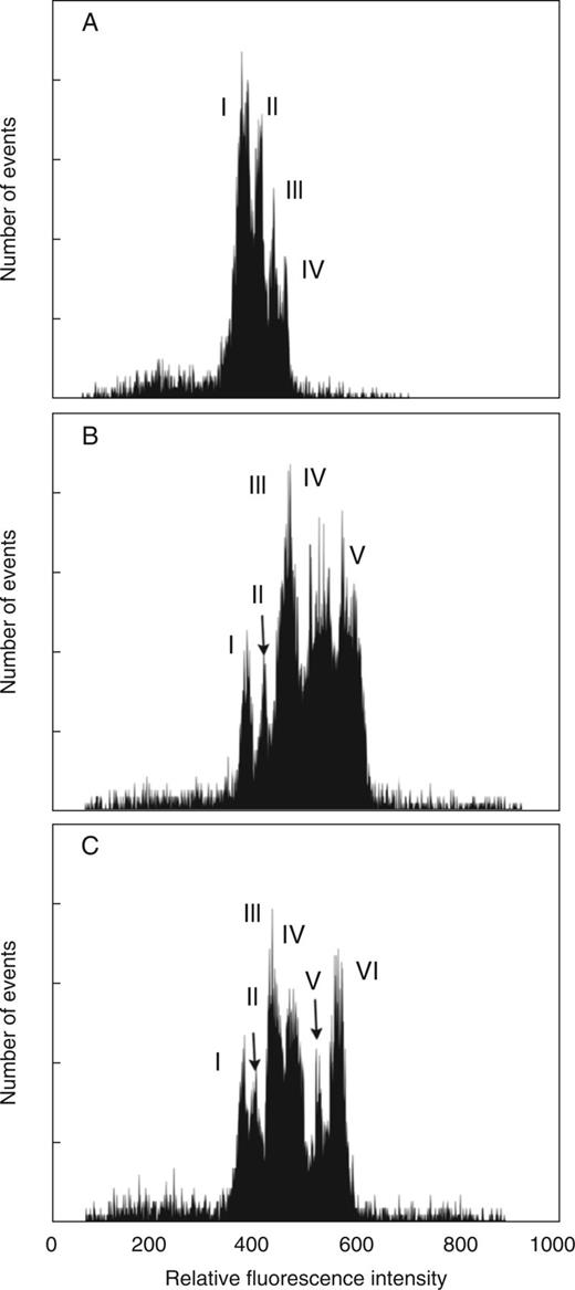Flow karyotypes obtained after the analysis of DAPI-stained chromosome suspensions prepared from Ae. markgrafii MvGB428 (2n = 2x = 14, CC) (A), Ae. triuncialis MvGB585 (2n = 4x = 28, UtUtCtCt) (B) and Ae. cylindrica MvGB1719 (2n = 4x = 28, DcDcCcCc) (C). The flow karyotype of Ae. markgrafii consists of two composite peaks, I and II, representing groups of three and two chromosomes, respectively, while peaks III and IV are specific for chromosomes 5C and 4C, respectively. The flow karyotype of Ae. triuncialis comprises three composite peaks, III, IV and V, representing chromosome groups of 3–5 chromosomes, while peaks I and III are specific for chromosomes T1 and 7Ct, respectively. The flow karyotype of Ae. cylindrica consists of four composite peaks, I, III, IV and VI, representing chromosome groups of 2–4 chromosomes, while peaks II and V are specific for chromosomes 1Cc and 5Dc, respectively.