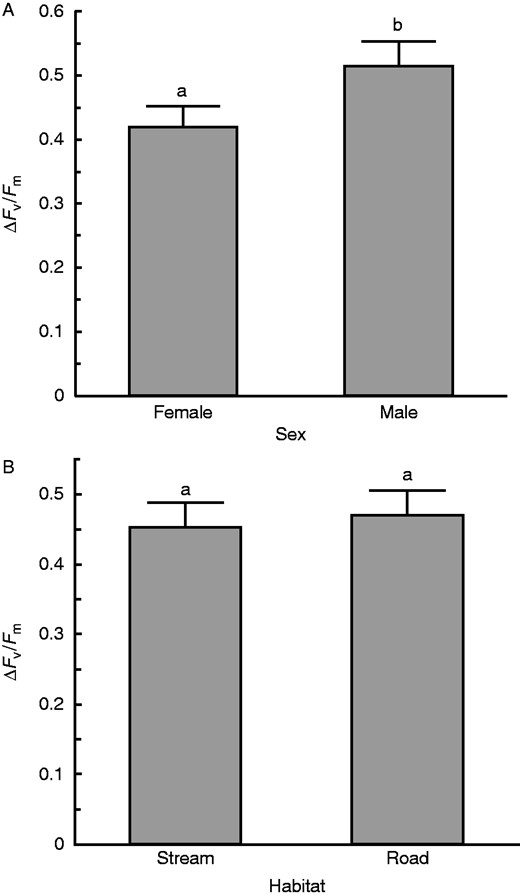 (A) Difference in damage incurred from dehydration at level 3 between the sexes was significant, with females being less damaged than males (P =0·016). (B) Difference in damage incurred for plants from wet versus dry source habitats at level 3 is not significant. Recovery was measured after 1 week. There were nine trials. Bars with different lowercase letters are significantly different at P < 0·05.