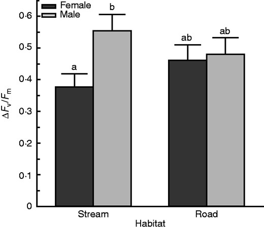 Females from the stream were less damaged than males from the stream, whereas females and males from the road did not differ from one another. This interaction was statistically significant at treatment level 3 (P =0·044). Recovery was measured after 1 week. There were nine trials. Bars with different lowercase letters are significantly different at P < 0·05.