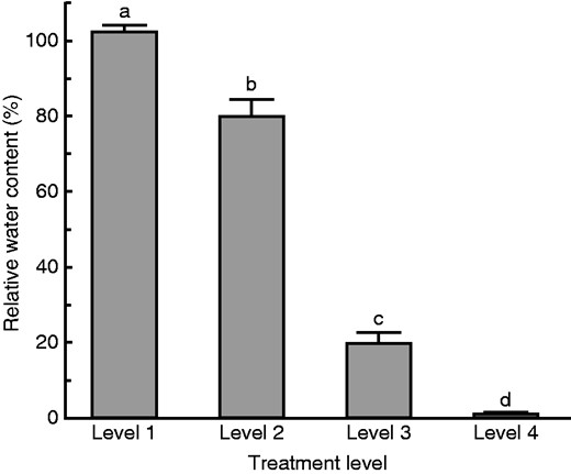 Mean RWC of M. inflexa tissue after treatment at each of the four dehydration intensities (Table 1). Sample size for each treatment group was three replicated dehydration chambers each containing 18 individuals. Bars with different lowercase letters are significantly different at P < 0·05.