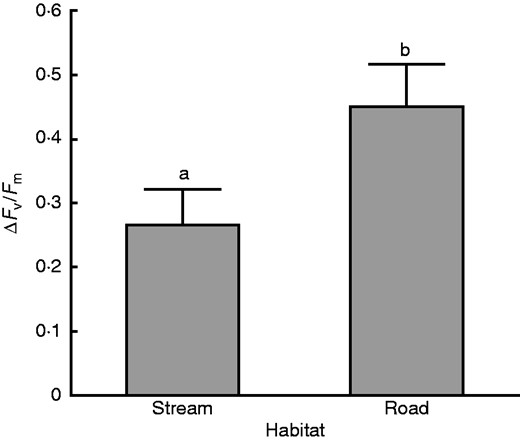 The difference in recovery Fv/Fm in plants collected directly from the field at stream or road sites and subjected to dehydration conditions was significant (P =0·0438). Recovery was measured after 1 week. There were three trials with ten thallus tips in each. Bars with different lowercase letters are significantly different at P < 0·05.