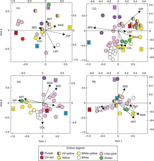 CCA biplots of pollinator groups and bands of the colour spectrum (coloured squares) corresponding to UV, blue, yellow and red in each of the four communities (CA, CO, GA, PA). Each dot represents a plant population and dot colours correspond to the flower colour categories shown in the legend (for example spectra of each category, see Table S1). BEE, bees; ANT, ants; WAS, wasps; DIP, dipterans; COL, coleopterans; LEP, lepidopterans.