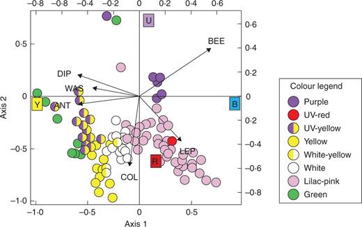 CCA biplot of pollinator groups and bands of the colour spectrum (coloured squares) corresponding to UV, blue, yellow and red (data from the four communities lumped together). Each dot represents a plant population and dot colours correspond to the flower colour categories shown in the legend (for example spectra of each category, see Table S1). BEE, bees; ANT, ants; WAS, wasps; DIP, dipterans; COL, coleopterans; LEP, lepidopterans.