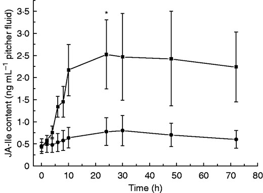 JA-Ile accumulation in fruit fly-fed pitcher fluids of N. alata. Pitchers were fed with 60 mg fruit flies and the level of JA-Ile was analysed after addition of fruit flies at different time points in pitcher fluids. Mean JA-Ile content (± s.e.) was analysed in both control (•) (n = 3) and fruit fly-treated (▪) (n = 7) pitchers. Statistically significant differences between control and treated pitchers were analysed for each time point by Student’s t-test separately; *P < 0·05.