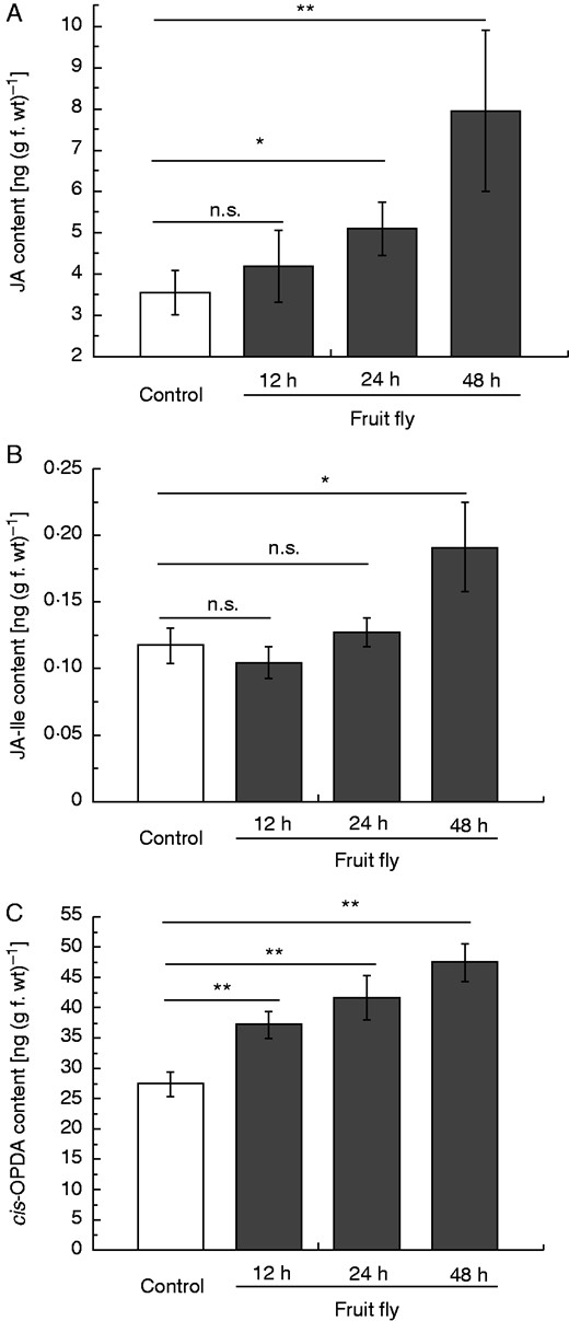 Phytohormone accumulation in fruit fly-fed pitchers of N. alata. Pitchers were fed with 60 mg fruit flies and endogenous phytohormone levels of JA (A), JA-Ile (B) and cis-OPDA (C) were analysed after 12, 24 and 48 h in pitcher tissue. Mean phytohormone content (± s.e.; n = 3–5) was analysed in both untreated control (white) and treated (grey) pitchers. Statistically significant differences between control and treated pitchers were analysed by Student’s t-test for each hormone separately; n.s.: not significant, *P < 0·05, **P < 0·01.