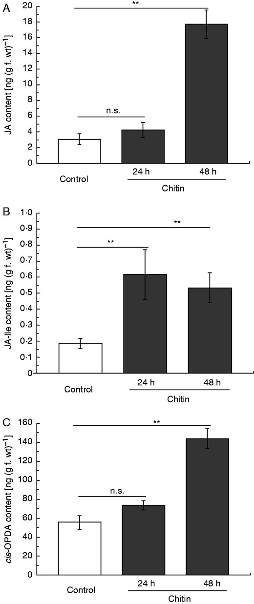 Jasmonate induction in chitin-treated pitcher tissue of N. alata. Pitchers were treated with chitin and endogenous phytohormone levels of JA (A), JA-Ile (B) and cis-OPDA (C) were analysed after 24 and 48 h in pitcher tissue. Mean phytohormone content (±s.e.; n = 3–5) was analysed in both control (white) and treated (grey) pitchers. Statistically significant differences between control and treated pitchers were analysed by Student’s t-test separately; n.s.: not significant, **P < 0·01.
