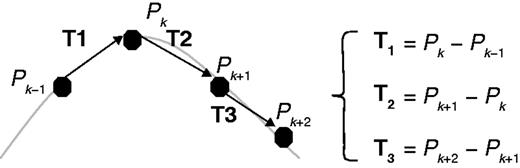 Graphical representation of points, P, and vectors, T, to calculate the SOAM index. Vectors, T, are constructed from points, P, which describe the root structure. Adapted from Bullitt et al. (2003).