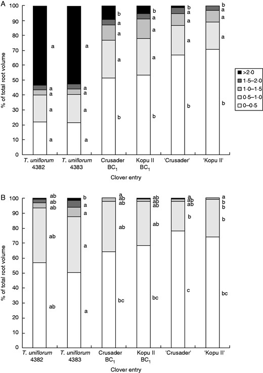 Mean percentage of root volume at 50–100 mm depth in root diameter classes from 0–0·5 to >2·0 mm at harvest 3 (170 d after sowing). (A) Tap root. (B) Nodal roots. Within diameter classes, means with the same letter were not significantly different at the 5 % level.