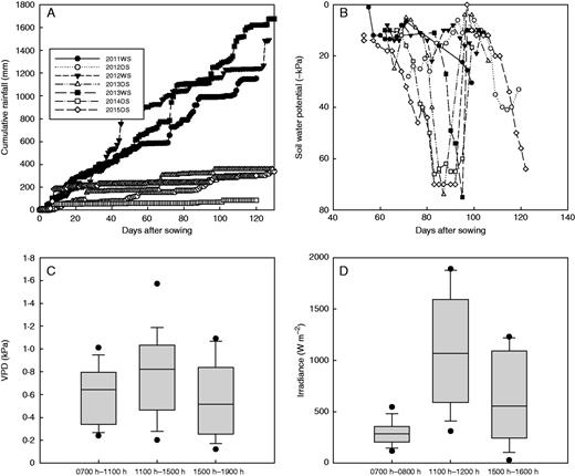 Environmental conditions across field experiments. (A) Cumulative rainfall and (B) Soil water potential in the drought stress treatments (30 cm depth), measured seasonally; and (C) vapour pressure deficit (VPD) levels (4 h average) and (D) irradiance levels (1 h average) measured diurnally during each bleeding rate measurement.