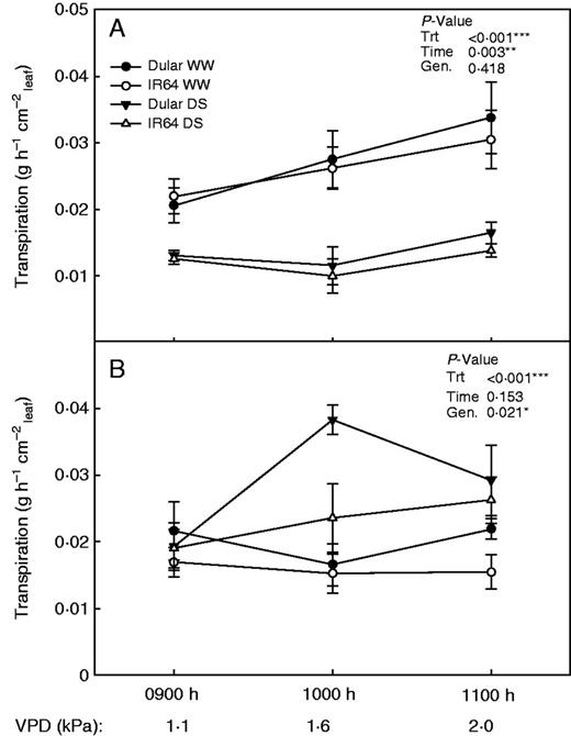 Transpiration rates of (A) whole plants and (B) de-rooted tillers after growth in well-watered or drought stress conditions. The vapour pressure deficit was increased in the growth chamber while transpiration was measured hourly.