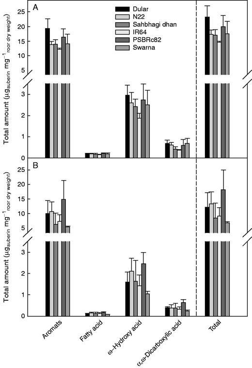 Distribution of suberin monomers by substance classes in roots from the 0–15 cm soil depth under (A) well-watered and (B) drought stress conditions. Suberin monomers were released by transesterification with BF3 using digested and MeOH/CHCl3-extracted root cell walls. Total amounts of monomers are shown as mean values of three replicates, and bars indicate the s.d.