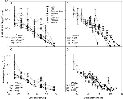 Effect of phenology on relative varietal effects on bleeding rate in 2011WS. Bleeding rates in the drought stress (A, B) and well-watered (C, D) treatments expressed in terms of days after sowing (DAS; left) or days after flowering (DAF; right), which was calculated per plot. Drought-tolerant varieties are shown in black and drought-susceptible (but high yielding under irrigated conditions) varieties are shown in grey.