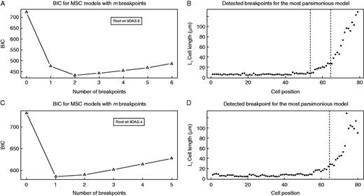 Estimation of the number of breakpoints and their position by an MSC–BIC approach in Col-0 wt cortical cell length profiles. (A, C) MSC–BIC models with m breakpoints for representative cell length profiles shown in (B) and (D). The lowest value of BIC corresponds to the most parsimonious model for number of breakpoints within a cell file. (B, D) Representative cell length profiles of wt 9-DAS seedlings. Vertical dashed lines represent the breakpoint position estimated by an MSC approach.