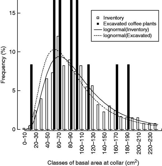Frequency histogram of basal area at root collar (BAC, cm2) from an inventory at 697 locations (white bars) and for the 12 coffee plants chosen for root excavation and growth ring analyses (black bars). The selected plants for excavation covered 97 % of the inventory range. Lines indicate lognormal distributions fitted to the inventory frequencies (solid line) and the excavated plants (dotted line) using maximum likelihood. The BAC of excavated coffee plants possessed the same distribution as that from plants in the inventory (P = 0·84 and P = 0·55, respectively).